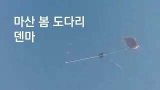 마산 봄 도다리 덴마 그리고 원전항 수중영상