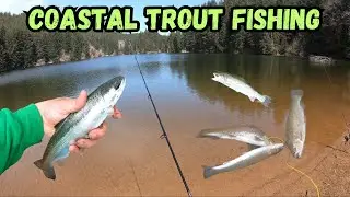 Catching Trout (Trophies) at Beautiful Coastal Lake | Oregon Trout Fishing at Olalla Reservoir