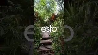 Conoce saber&iacute;co en Antigua Guatemala 🍃💚
