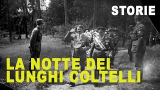 Hitler Tradisce i Suoi Alleati: La Notte dei Lunghi Coltelli (Documentario Breve)