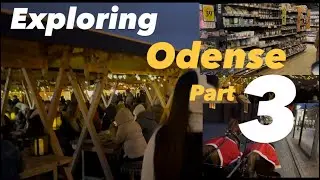 Exploring Odense Denmark, PART 3. The Christmas market in Odense, H.C. Anderson museum and more 