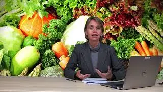 Histórico das políticas de alimentação e nutrição no Brasil