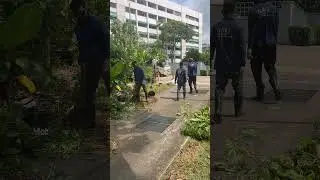 Singapore garden jobs #shorts #youtubeshorts
