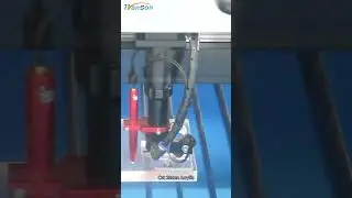 Cut 20mm Acrylic