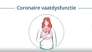 Coronaire vaatdysfunctie / ANOCA / INOCA