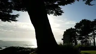 Agate Cove Inn awesome views