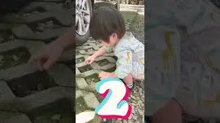 [Mumu TV] How many stones are there here? #shorts #babyboy  #stones #123 #drooling #cutebaby #人類幼崽
