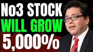 4 AI Tech Stocks I&rsquo;m Buying (Next NVIDIA, Richtech ROBOTICS) 