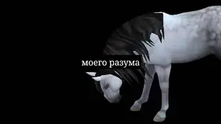 [SSOMV] - оторваться от земли