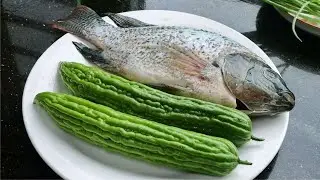 2根苦瓜配上1条鲜鱼，这个吃法太开胃了，鲜嫩味美又下饭，真香