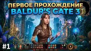 ПЕРВОЕ ПРОХОЖДЕНИЕ BALDUR’S GATE 3 (1 часть)