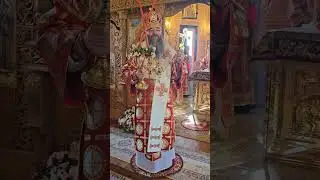 Sf. Liturghie. Schitul Sf. Teodora de la Sihla. Mitropolitul Longhin Литургия. Владыка Лонгин