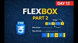 Live Class 12 Flex Box Part 2 #mernstack  #coding