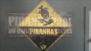 The Piranha Pool at Robin Wood!
