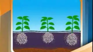Animation Movie - English.mpg