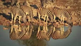 A self-drive roadtrip through Namibia | Rhino Africa Safaris