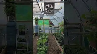 Hi-Tech Polytunnel #shorts #polytunnel #growyourownfood