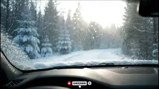 3 Hours of Silent Forest Snowfall ❄️ | Cinematic Car Ambience for Study & Meditation
