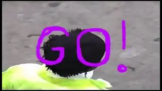 HESH CARDIEL - WHET GO! (OFFICIAL MUSIC VIDEO)