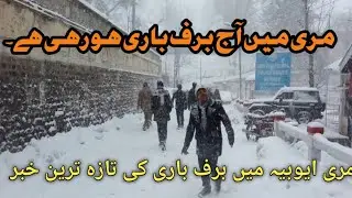 Today murree snowfall update/Snowfall in murree ayubia /Live snowfall today 