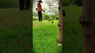 smart way to get even and neat grass cuts #shorts