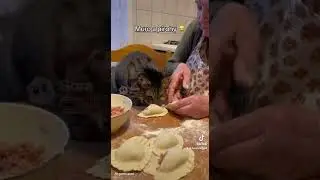 #meme #muro #pirohy #boooring #humor #funny #viral #vtipnevideo #komedia