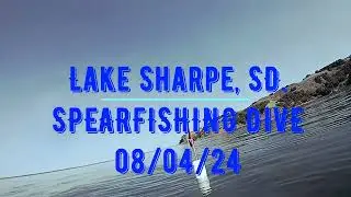 LAKE SHARPE DIVING THE TREES