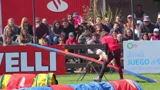 Un poco de deporte canino: demostraciones de Agility