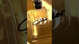 All Day Night - Goldior luxury