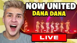 Now United - Dana Dana (Wave Your Flag Tour) |🇬🇧UK Reaction