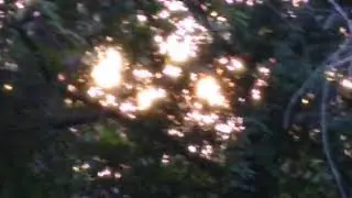 Amazing Love-Light filled with lil Light beings & Elemental appearance