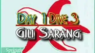 Dive Gili Islands | PADI Dive Course | Dive South Gilis
