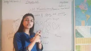 Eukaryotic cell | Cell membrane and Cell wall | Biology Crash Course |