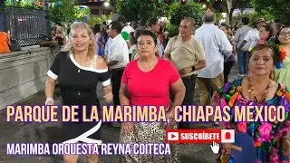 Al Son de la Marimba, 25 de Abril del 2025, Parque Jardín de la Marimba Tuxtla Gutiérrez, Chiapas
