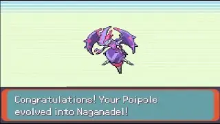 How to evolve Poipole into Naganadel in Pokemon Emerald Horizons v1.0