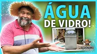 PROTEGE as plantas da GEADA do calor e das PRAGAS