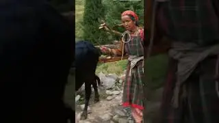10 Things You Can't Do in Nepal #shortsfeed #nepal  #aiunveiled #viral