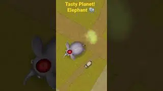 Tasty Planet! Elephant 🐘