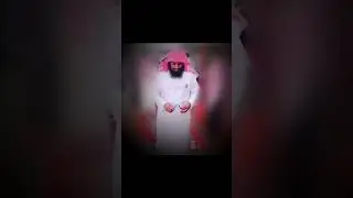 ضمور الناقة وكورس الزيوت المفيدة