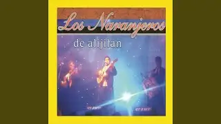 Enganchados: Solterito / Quiereme / Mujer Hermosa / Carnaval / Changuito Silvador