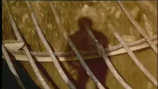 Trailer for 