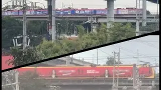 Recent Lrt 1 ad wraps (Gree Air Conditioning & Stresstabs ad wrap) (Nov 16 2025)