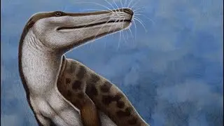 Custom Ambulocetus Sounds