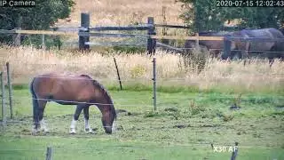 Livestock Eye 4g Sim 30x zoom Camera
