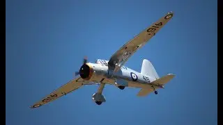 Giant RC Westland Lysander (Phoenix Model) - Warbirds & Classics 2017