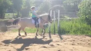 Ohne Sattel reiten