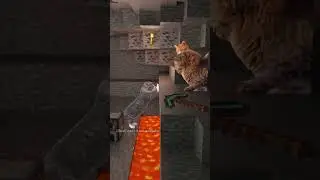 minecraft! 😹🎮 #funnyanimals #catvideos #cutepets #lol #funnycats #memeanimals #minecraft