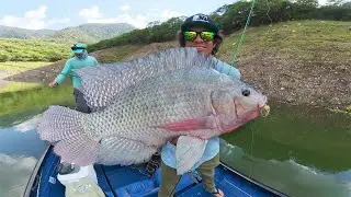 Captura y Cocina Mojarra GIGANTE! | Pesca y Campamento