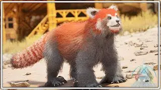 The RED PANDA Has Finally Arrived To Ark And It's Amazing !! | Ark Survival Ascended