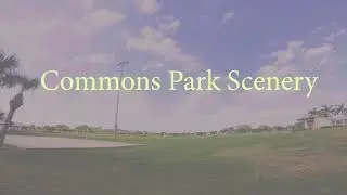 Commons Park Scenery